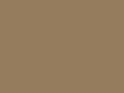 Грунтовочная краска Decorazza Fiora (Фиора) в цвете FR 10-56